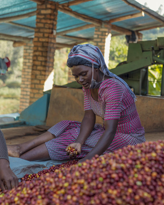 RWANDA MUHORORO