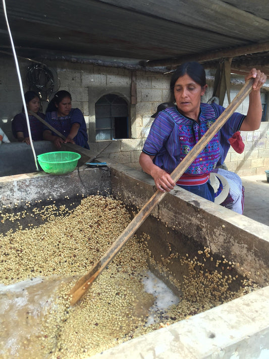 GUATEMALA HUEHUETENANGO ASODIETT COOPERATIVE