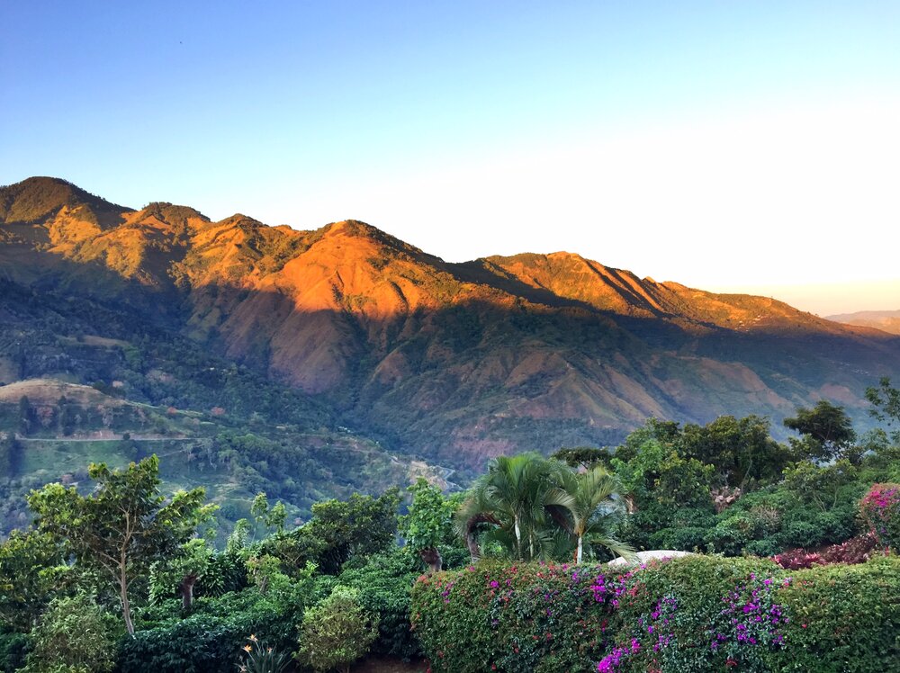 COSTA RICA HACIENDA DE LA MINITA ESTATE BLEND