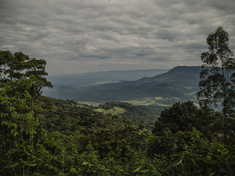 NICARAGUA LA BASTILLA