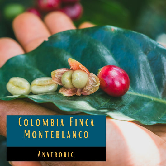 COLOMBIA FINCA MONTEBLANCO ANAEROBIC