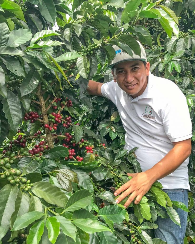COLOMBIA FINCA MONTEBLANCO ANAEROBIC